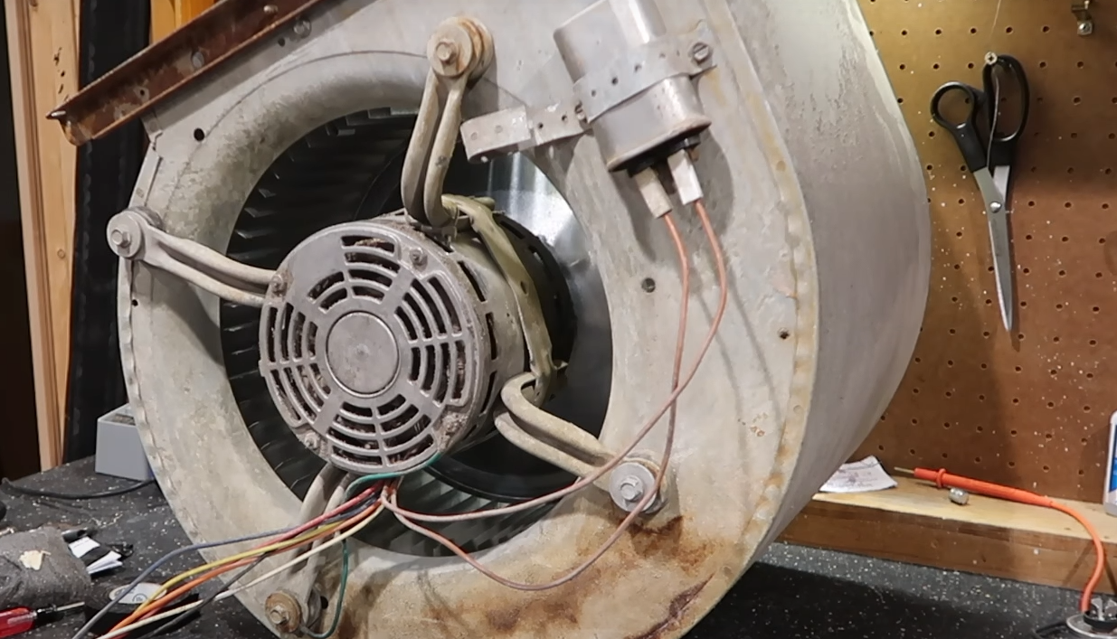 How to Wire a Squirrel Cage Fan? - ElectronicsHacks